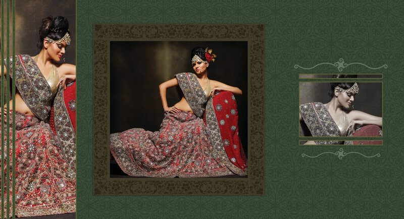 Woman in Red Sari — Dramatic, Photograph, Saree
