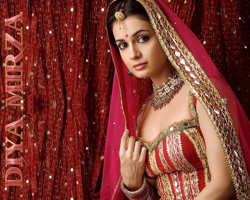 Woman in Red Sari — Dramatic, Photograph, Veil