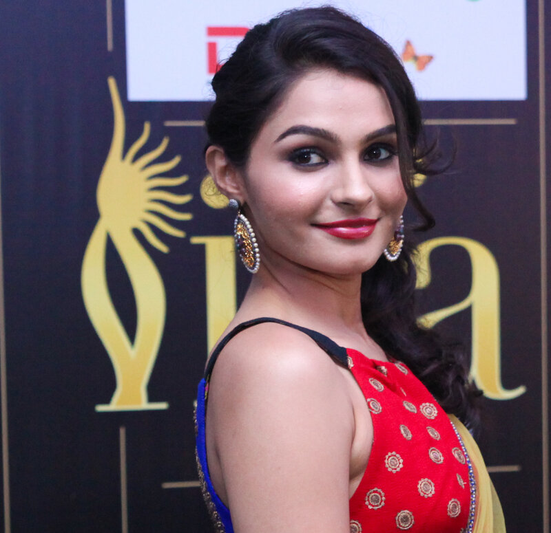 Woman in Red Sari — Formal
