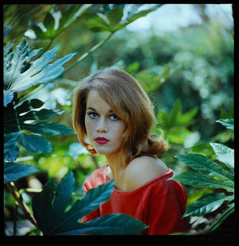 woman in red top among plants
