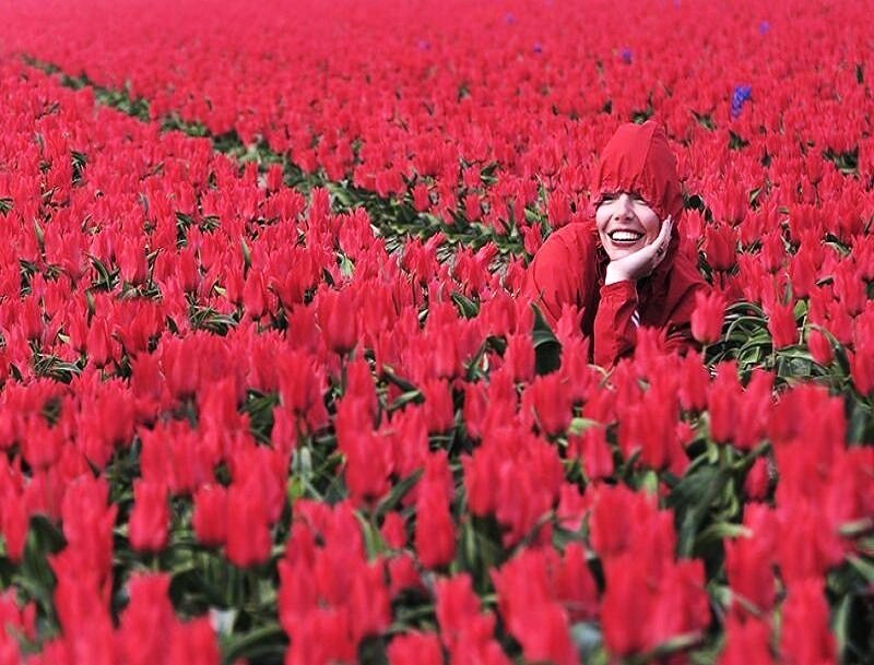 Woman in red tulip field