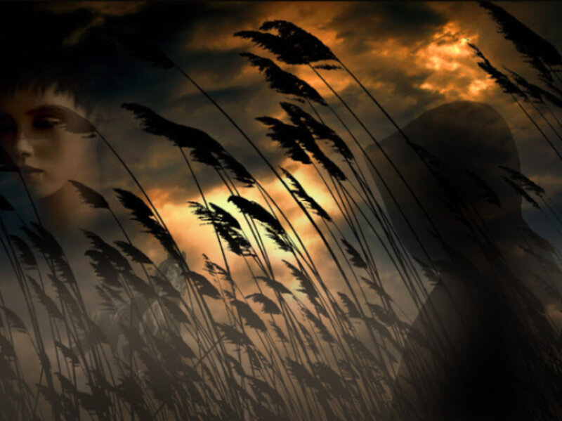 Woman in Reed Field — Orange