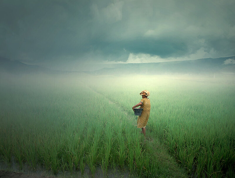 Woman in Rice Field — Green