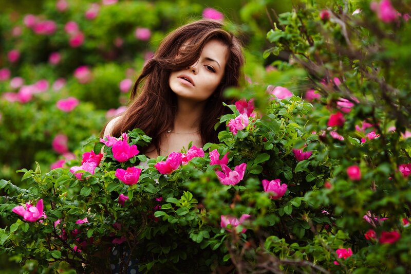 Woman in Rose Bush