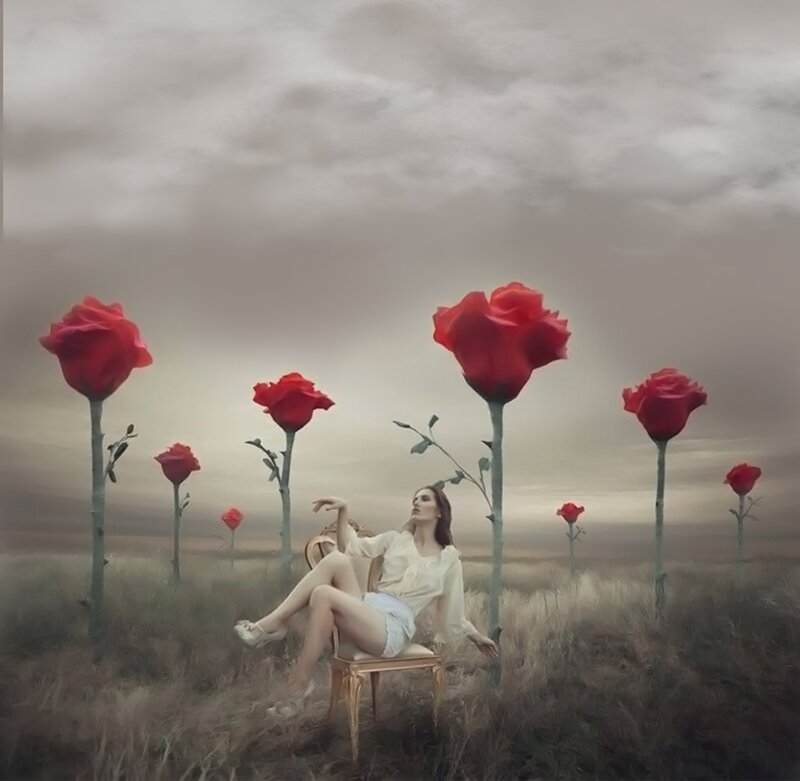 Woman in Rose Field