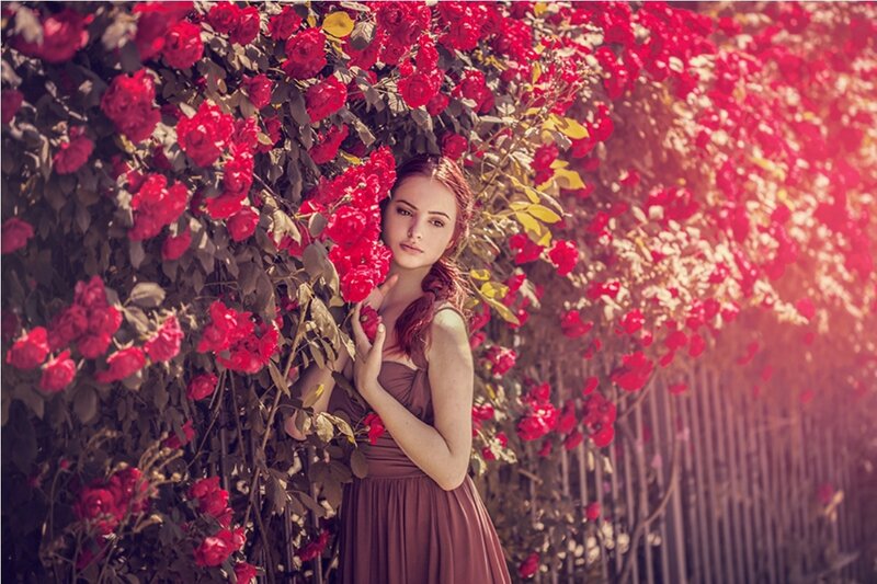 Woman in Rose Garden — Red, Serene, Afternoon, Photograph, Roses