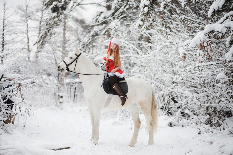 Woman in Santa Outfit on Horse