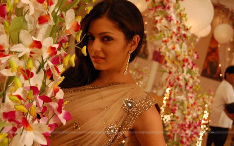 Woman in Sari — Beige, Festive