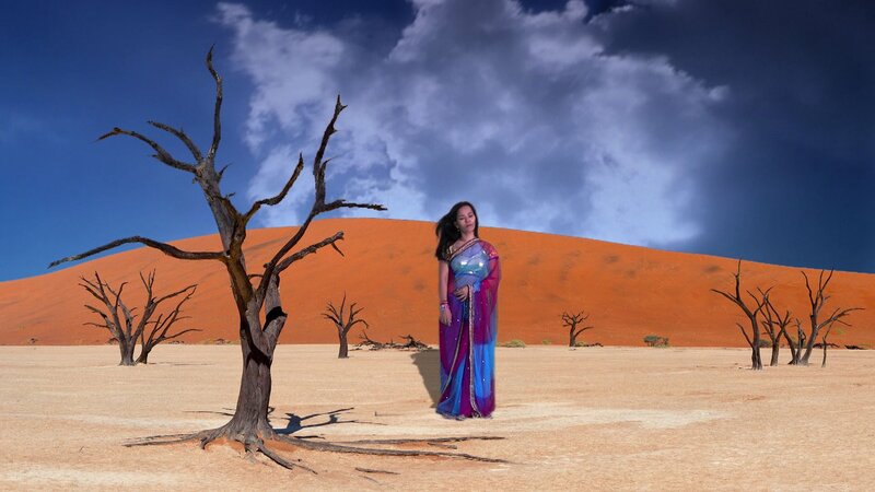Woman in Sari — Blue, Dramatic