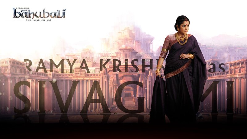 Woman in Sari — Purple