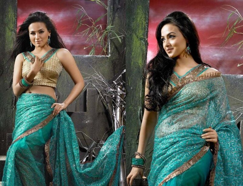 Woman in Sari — Teal