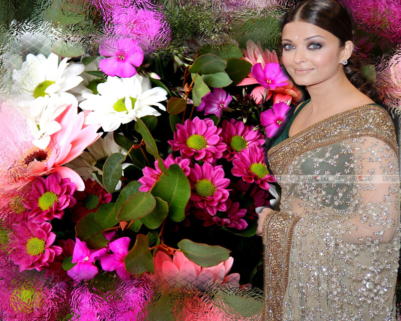 Woman in Sari with Flowers — Pink