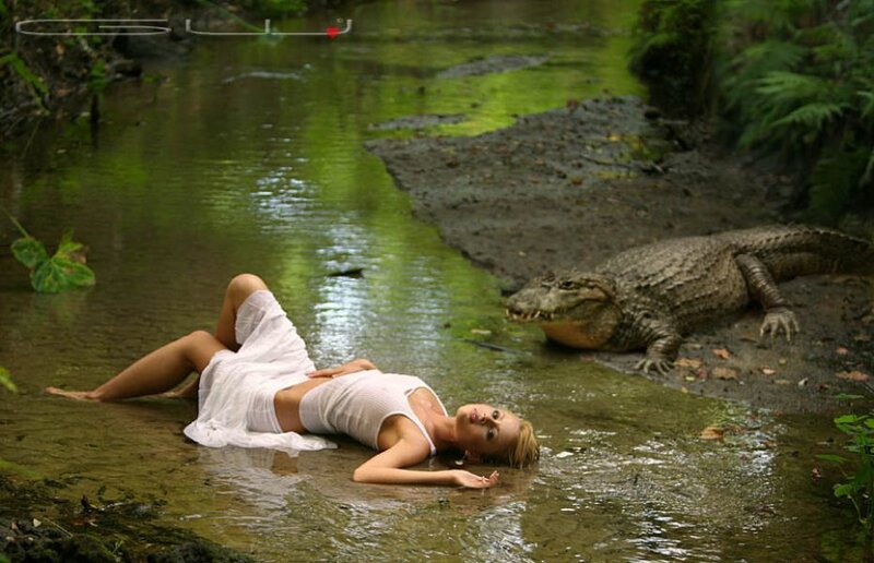 Woman in stream with alligator