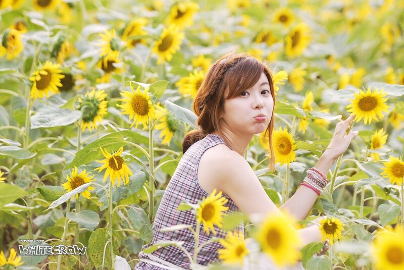 Woman in sunflower field