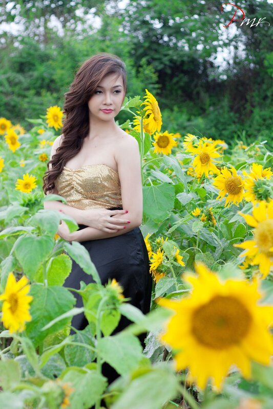 Woman in sunflower field