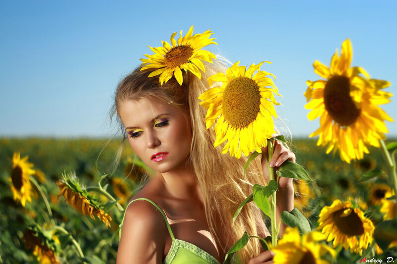 Woman in sunflower field