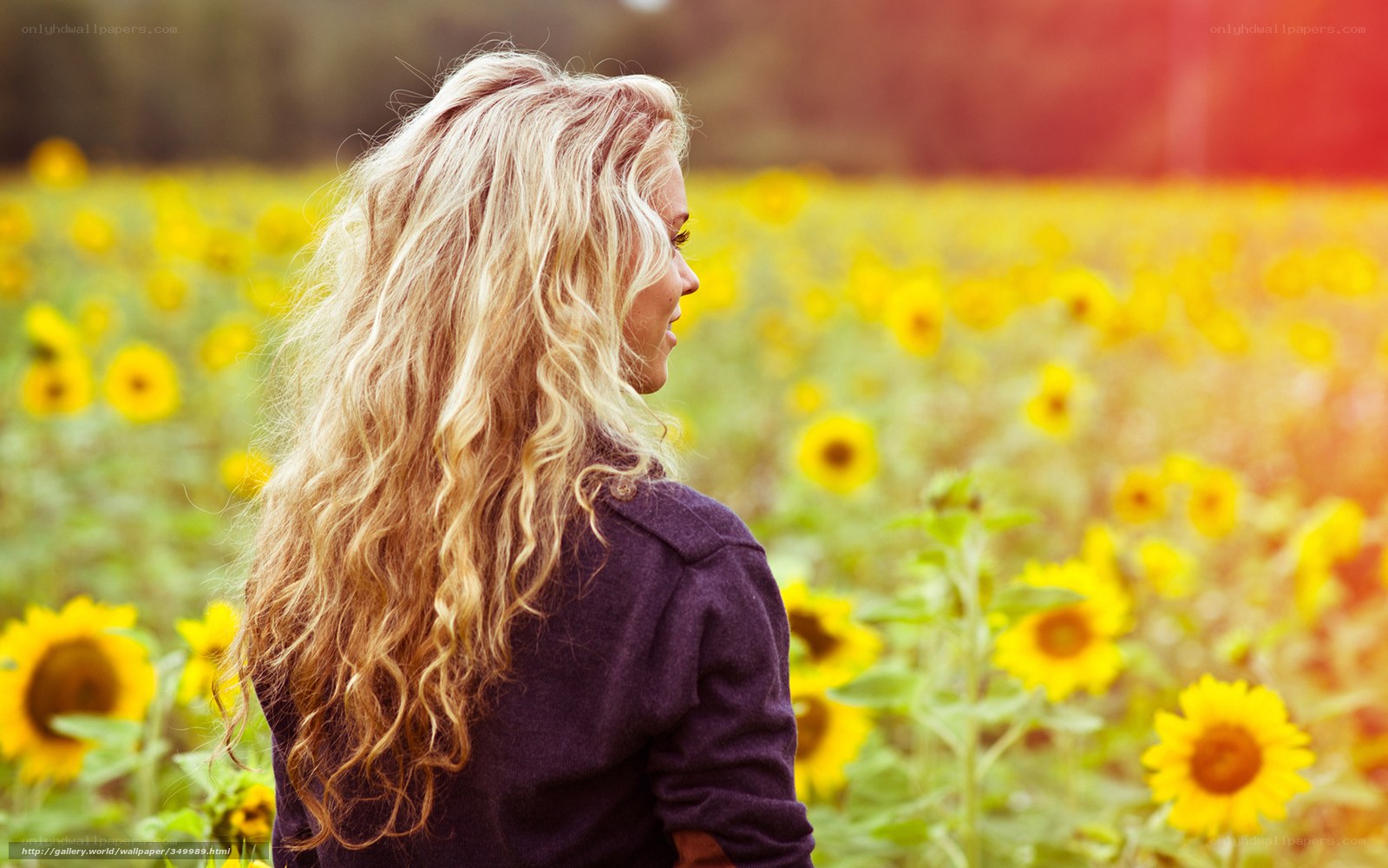 Woman in sunflower field