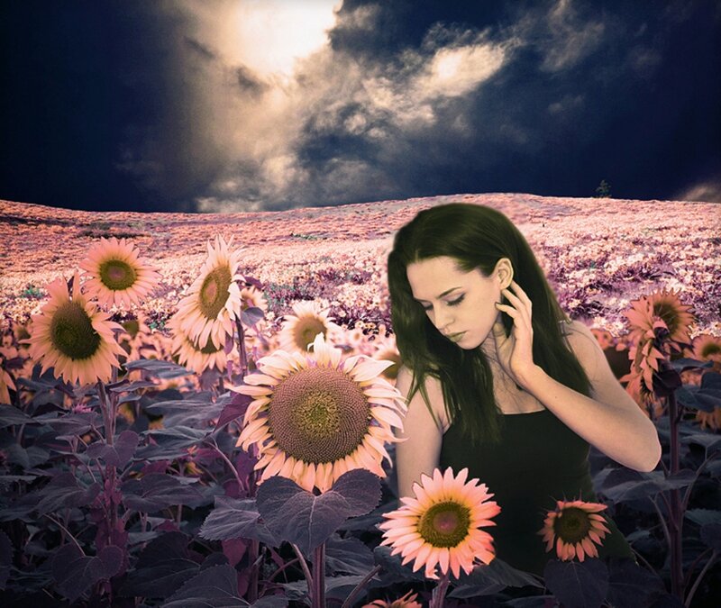 Woman in Sunflower Field — Pink