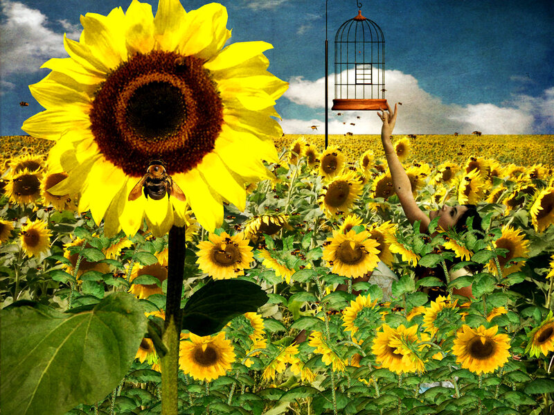 Woman in Sunflower Field — Yellow, Dreamy