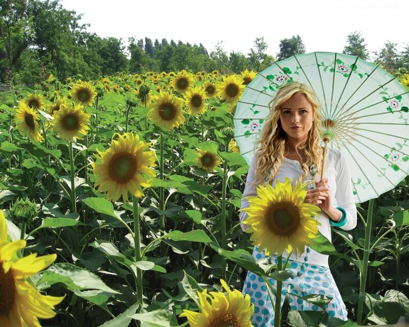 Woman in Sunflower Field — Yellow, Serene, Summer