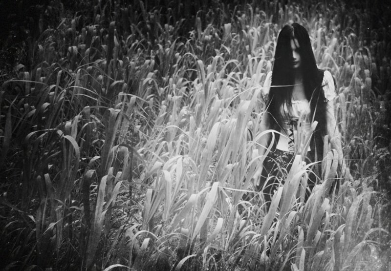 Woman in Tall Grass — Black, Dramatic, Photograph, Long Hair