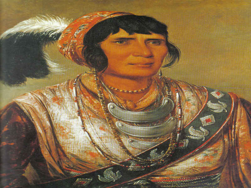 Woman in Traditional Attire — Brown, Dignified