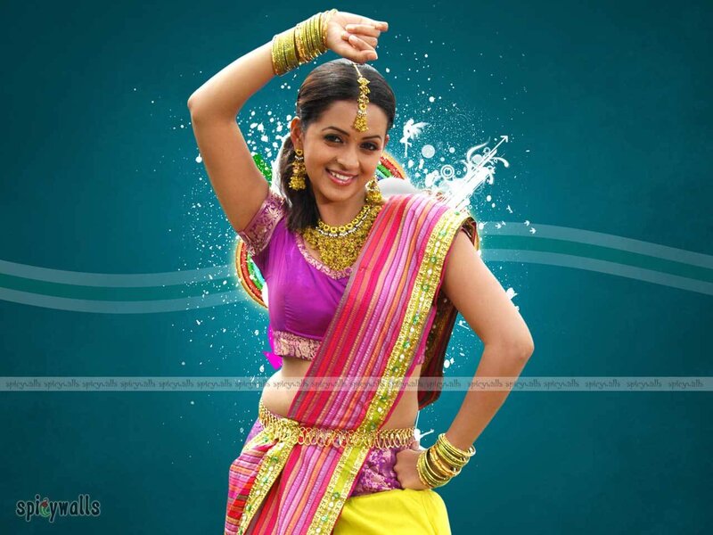 Woman in Traditional Indian Attire — Purple