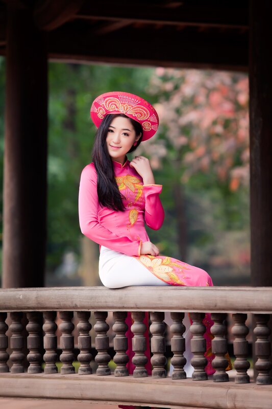 woman in traditional vietnamese dress