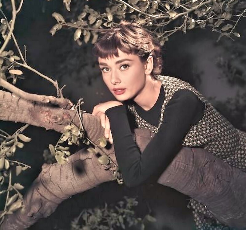 Woman in Tree — Black, Dramatic