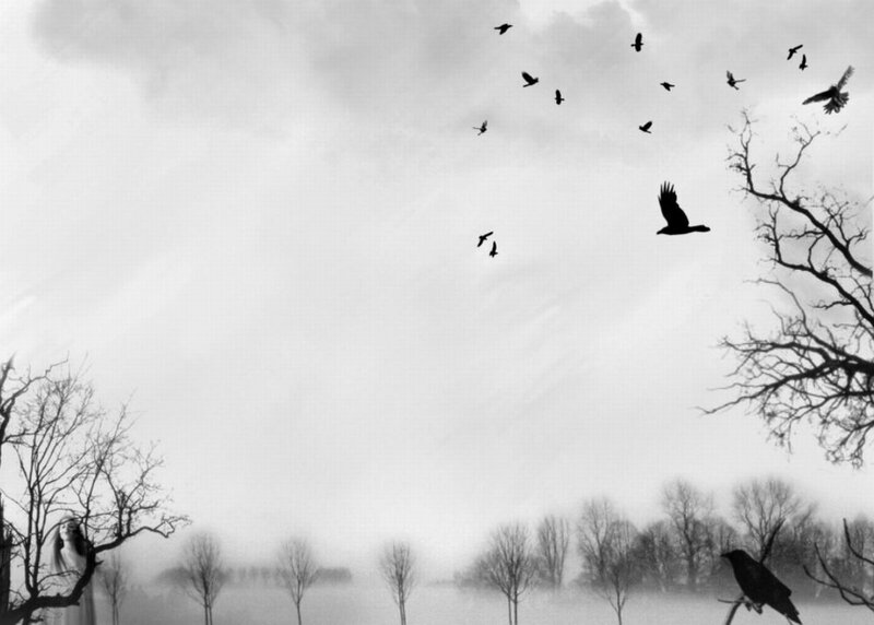 Woman in Tree with Crows