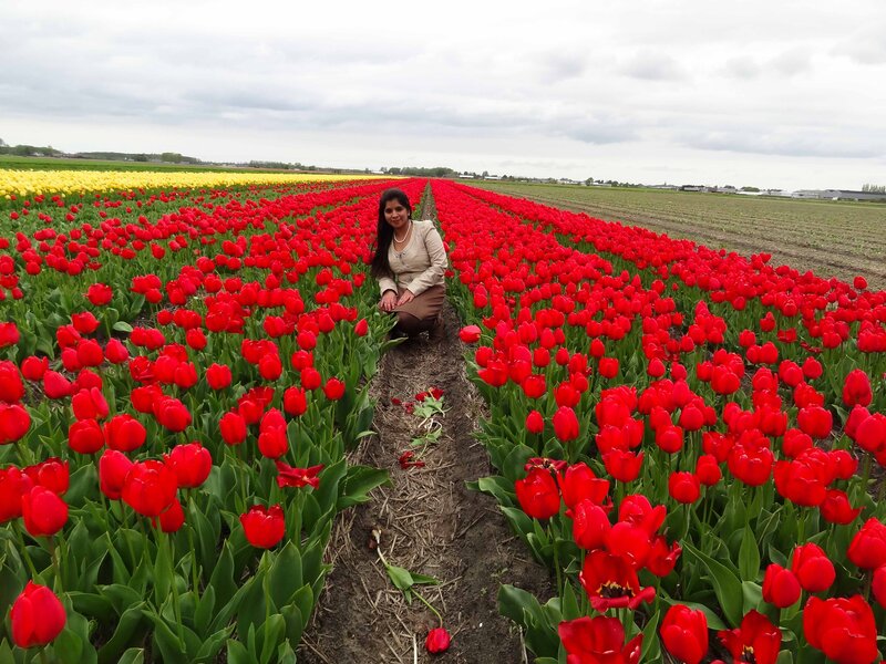 Woman in Tulip Field — Red, Serene, Spring, Photograph
