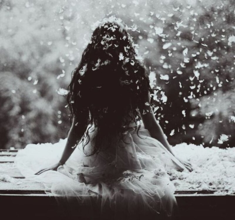 Woman in Tulle Dress — Black, Dramatic, Photograph, Feathers