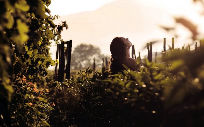woman in vineyard at sunset
