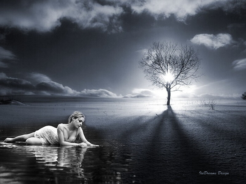 Woman in Water — Black, Dramatic, Night, Photograph, Tree