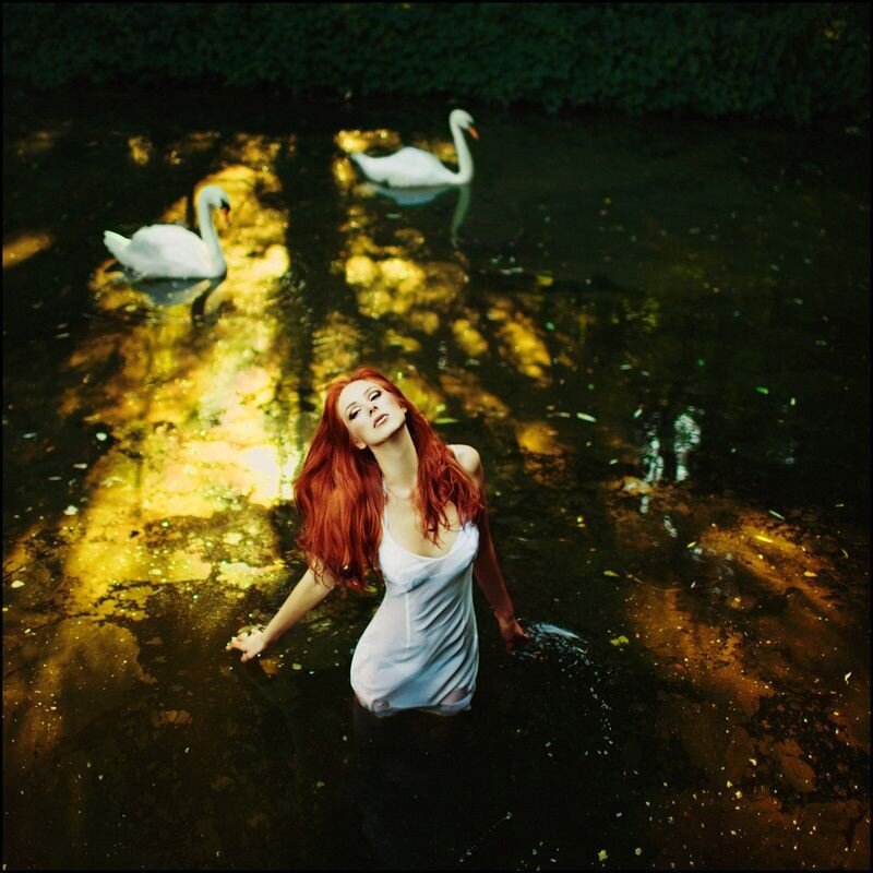 Woman in water with swans
