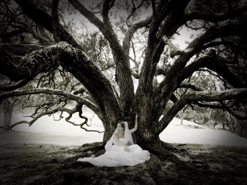 Woman in Wedding Dress — Black, Dramatic, Photograph