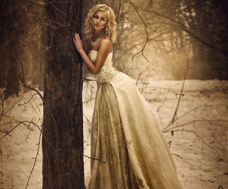 Woman in Wedding Dress — Brown, Dramatic, Winter