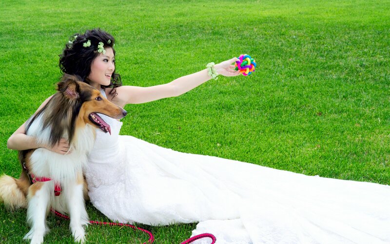 Woman in Wedding Dress — Green, Playful
