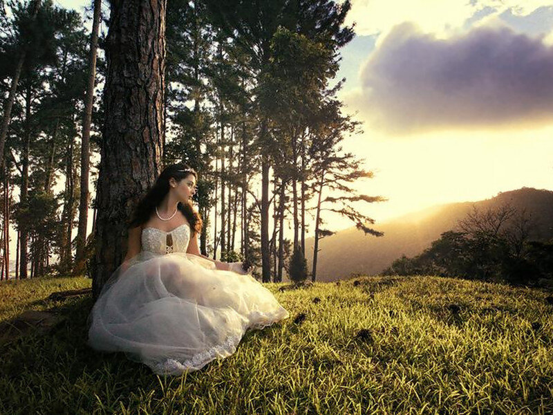 Woman in Wedding Dress — Green, Serene, Sunset