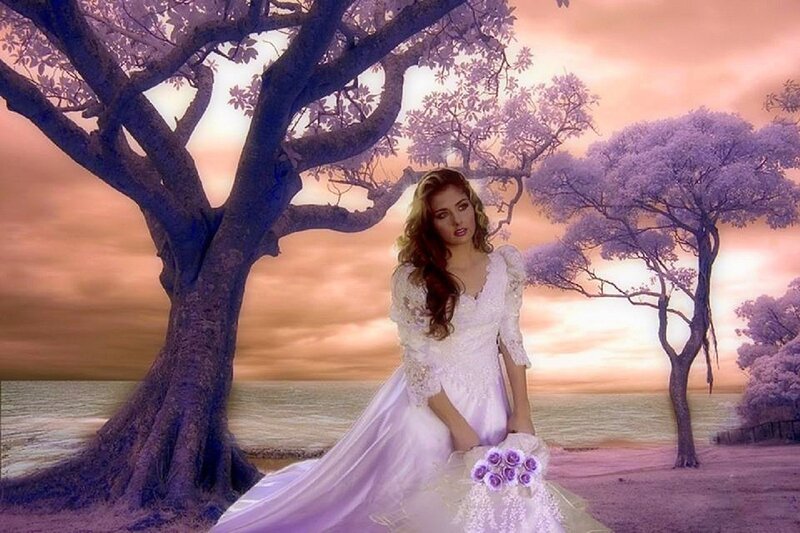 Woman in Wedding Dress — Purple, Dramatic, Sunset, Digital Art