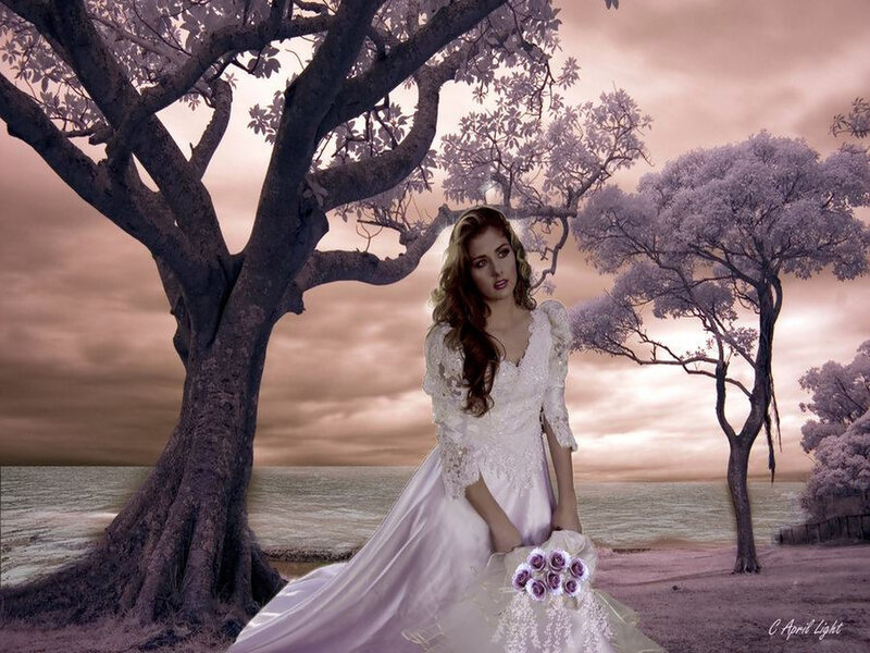 Woman in Wedding Dress — Purple, Dramatic