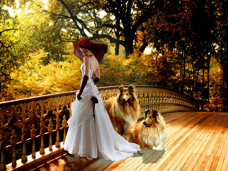 Woman in Wedding Dress — White, Dramatic, Autumn, Digital Art