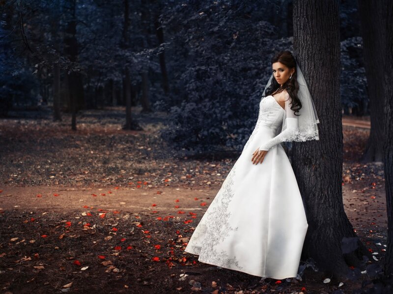 Woman in Wedding Dress — White, Dramatic, Autumn, Photograph, Tree