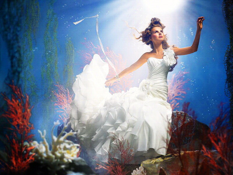 Woman in Wedding Dress — White, Dramatic, Digital Art, Coral