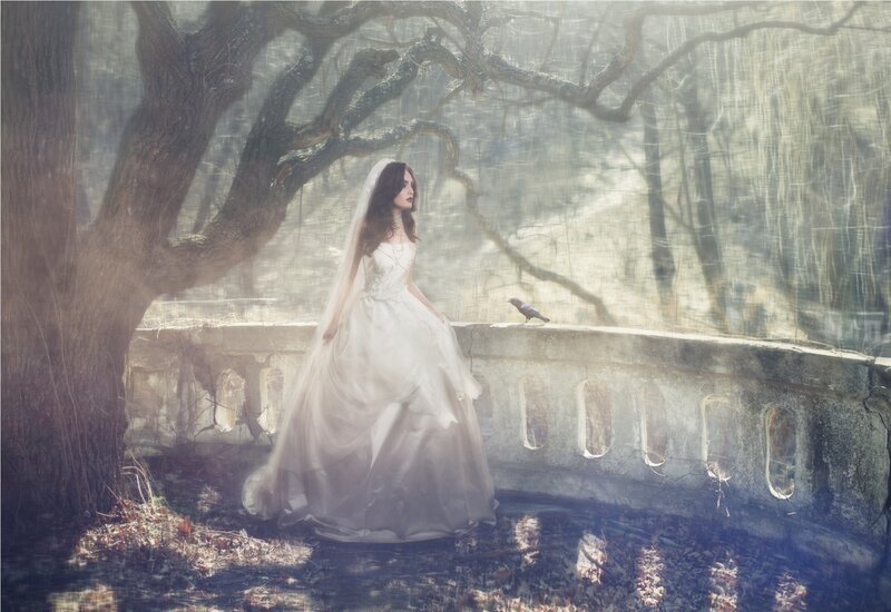 Woman in Wedding Dress — White, Dramatic, Photograph, Bird