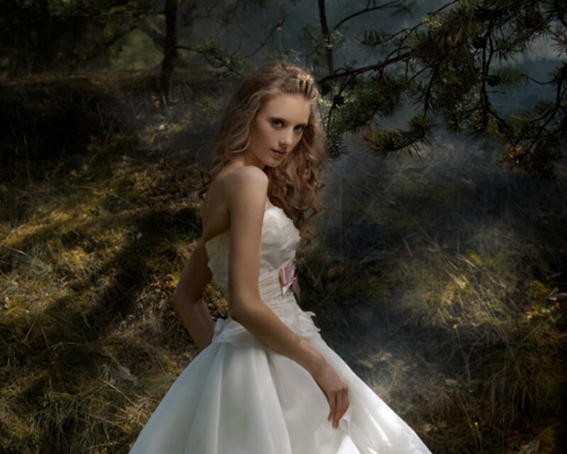 Woman in Wedding Dress — White, Dramatic, Photograph, Forest, Trees