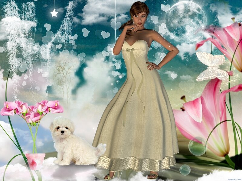 Woman in Wedding Dress — White, Dreamy, Night