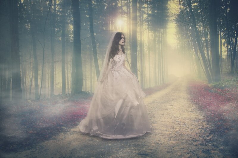 Woman in Wedding Dress — White, Mysterious, Autumn