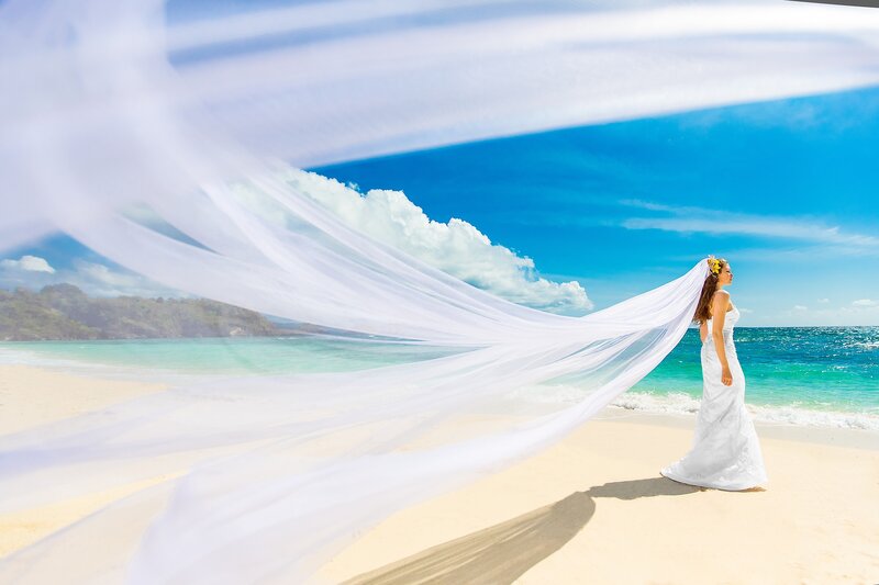 Woman in Wedding Dress — White, Serene, Afternoon, Photograph, Beach, Ocean, Veil