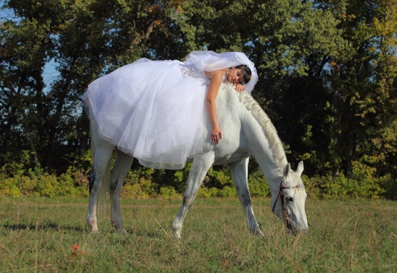 Woman in Wedding Dress — White, Serene, Afternoon, Photograph, Horse
